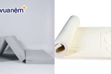 So sánh nệm Tatana và nệm Kim Cương