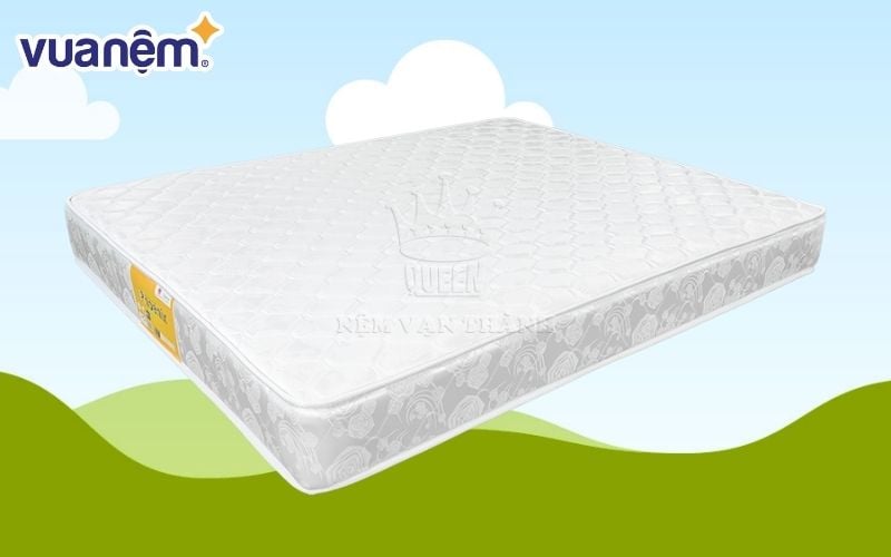Vạn Thành và Goodnight đều là những thương hiệu nệm được người dùng tin tưởng