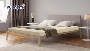 So sánh nệm Vạn Thành và nệm Goodnight – Nên mua nệm loại nào?