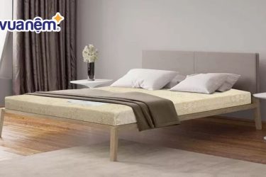 So sánh nệm Vạn Thành và nệm Goodnight - Nên mua nệm loại nào?