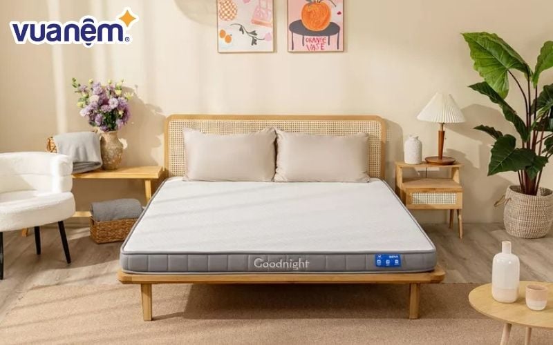 Mẫu Goodnight Active Hybrid