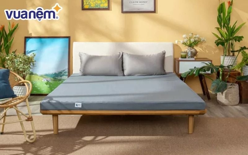 Vua Nệm - Địa chỉ uy tín mua nệm Goodnight chính hãng