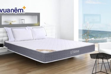 So sánh nệm Vạn Thành và nệm Hanvico - Nên mua nệm loại nào?