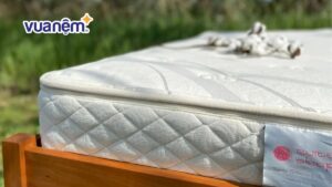 [GIẢI ĐÁP] Nệm cao su có phơi nắng được không?