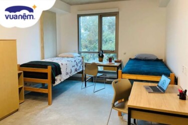 chăn ga gối nệm dành cho học sinh, sinh viên