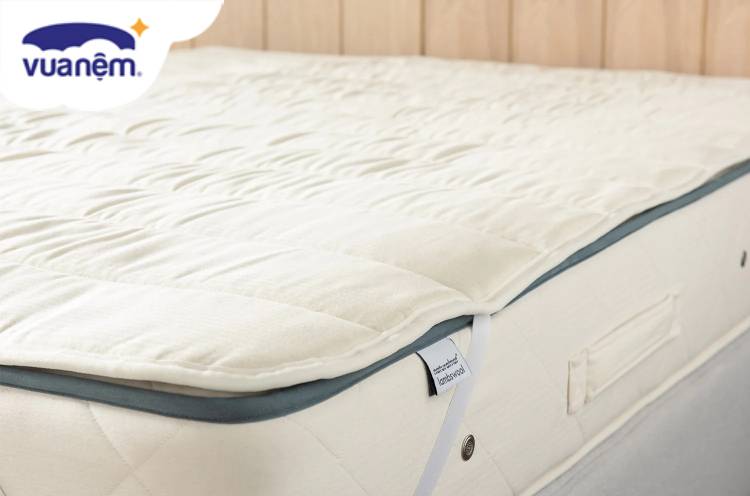 so sánh topper nệm và tấm bảo vệ nệm