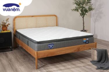đánh giá Nệm Lò xo Spring Air Back Supporter Firm Plus