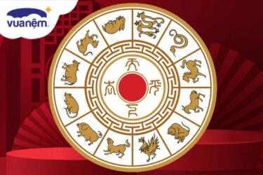 màu sắc chăn ga gối may mắn cho 12 con giáp năm 2024