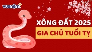 Chủ nhà tuổi Tỵ chọn người xông đất năm 2025 tuổi gì đẹp