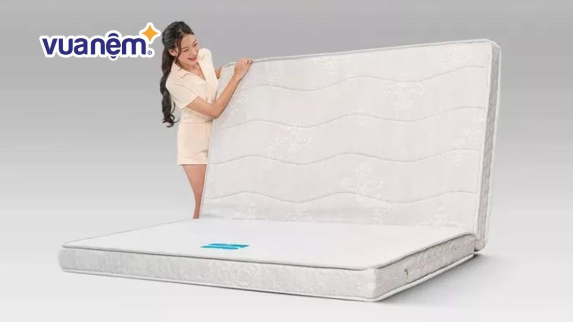 nệm 2 mặt