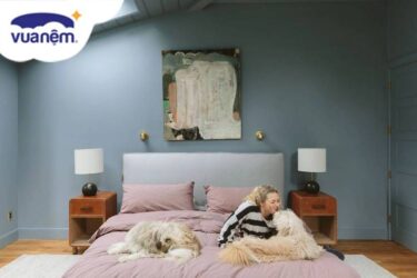 Tường màu xanh nên chọn ga giường màu gì