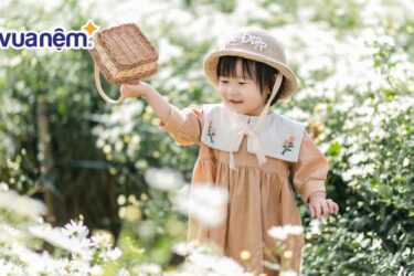 Đặt tên con gái họ Phan hay và ý nghĩa