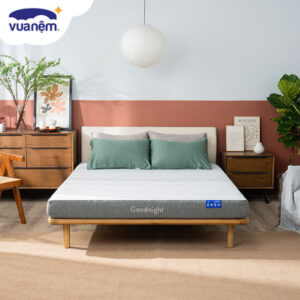 Đánh giá nệm foam Goodnight Hachi: Có thật sự tốt không?