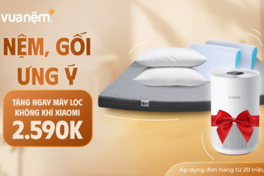 01 máy lọc không khí Xiaomi 2,590,000đ