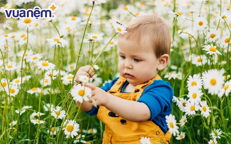 Đặt tên con trai họ Hà bắt đầu bằng vần D