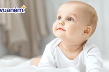 Tên Quyên đệm gì hay? Gợi ý tên hay và ý nghĩa