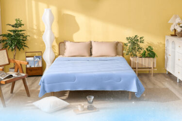 chan lam mat amando ice silk