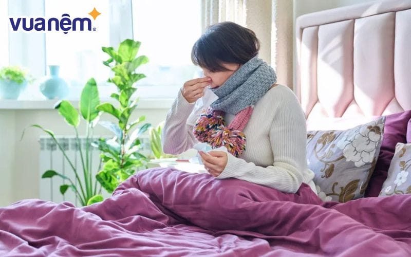 Sử dụng nệm cũ khiến nhiều người bị dị ứng, viêm hô hấp