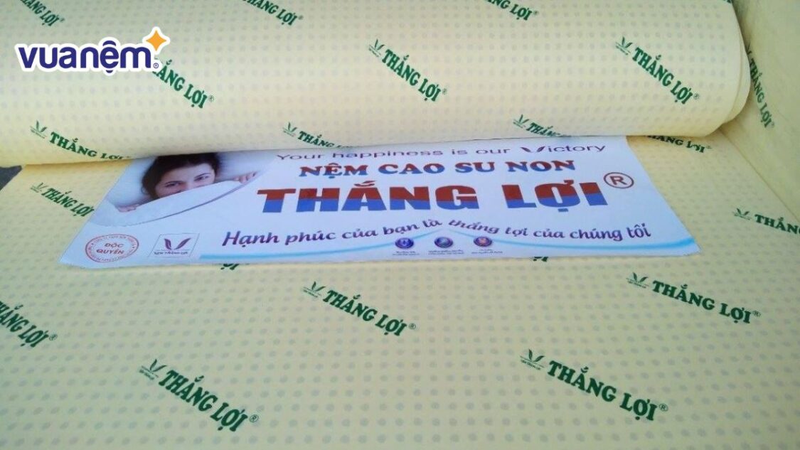 nem-thang-loi