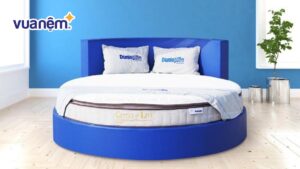 Top 10 mẫu nệm tròn tốt nhất, kèm bảng giá chi tiết 2025