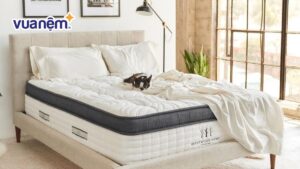 Địa chỉ đặt đệm theo kích thước yêu cầu uy tín tại Hà Nội