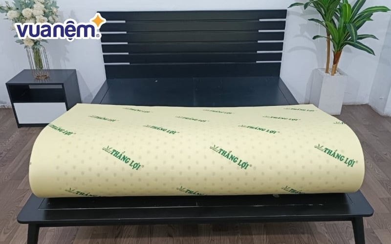 Nệm cao su non Thắng Lợi có cấu tạo PU Foam cao cấp