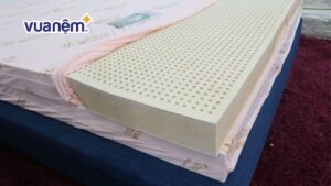 Top 10 địa chỉ mua nệm cao su ở TPHCM chất lượng, giá tốt