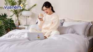 Top 5 mẫu nệm 10cm chất lượng – Kèm bảng giá chi tiết