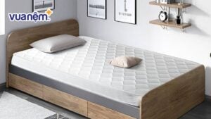 TOP 12 mẫu nệm 1m chất lượng, kèm giá chi tiết