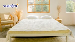 Bảng giá mẫu nệm 1m x 1m8 nên mua năm 2025