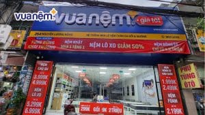 9 Địa chỉ mua nệm bông ép chính hãng, giá tốt tại TPHCM