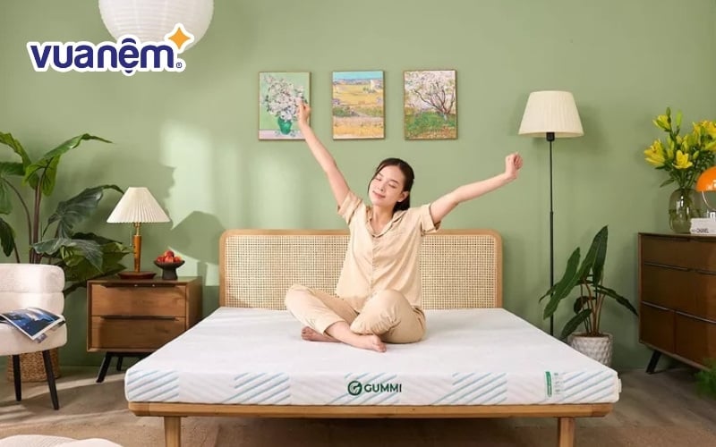 Nệm cao su thương hiệu Gummi