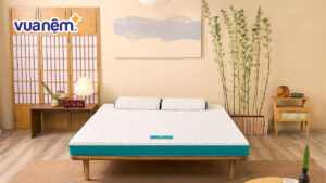 Nệm Foam hãng nào tốt? Top 10 nệm Foam tốt nhất năm 2025
