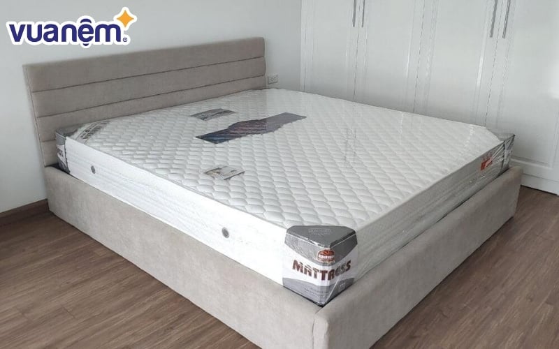 Các dòng nệm 1m phổ biến hiện nay
