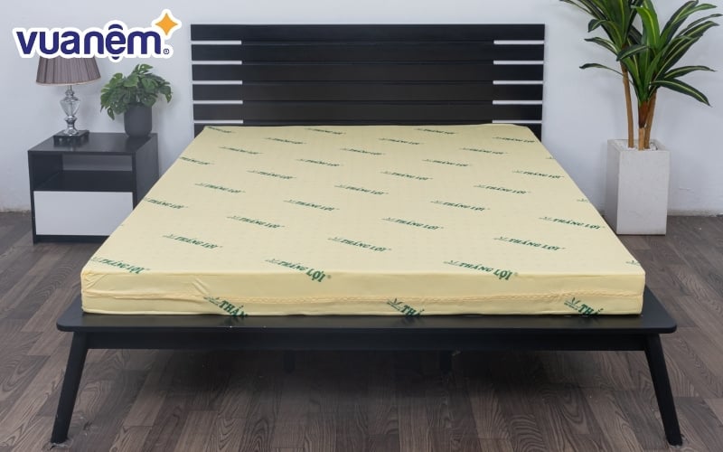 Nệm cao su 1m Thắng Lợi được đánh giá rất êm, bền