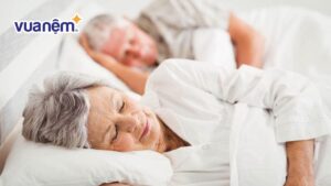 Mất ngủ: Kẻ thù số một của sự minh mẫn ở người già