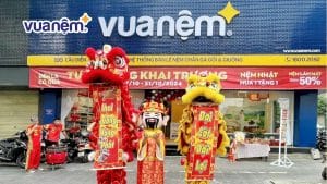 9 Địa chỉ mua nệm bông ép chất lượng, giá tốt tại Đà Nẵng