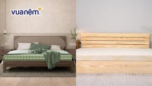 So sánh nệm bông ép và nệm PE trước khi chọn mua