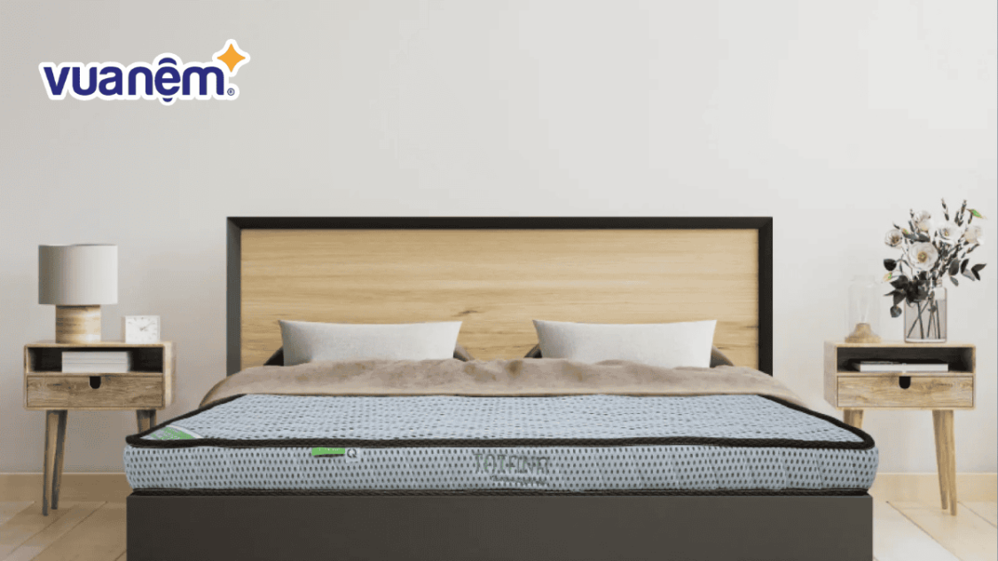nệm cao su tổng hợp là gì