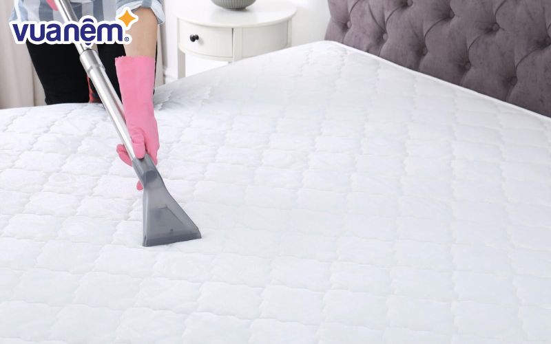 Các bước giúp xử lý nấm mốc trên nệm hiệu quả