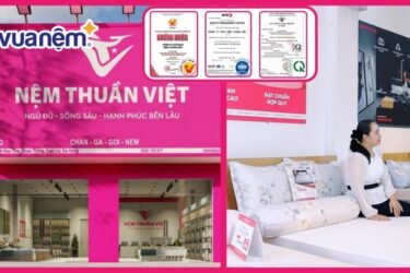 bang gia nem thuan viet thumbnail