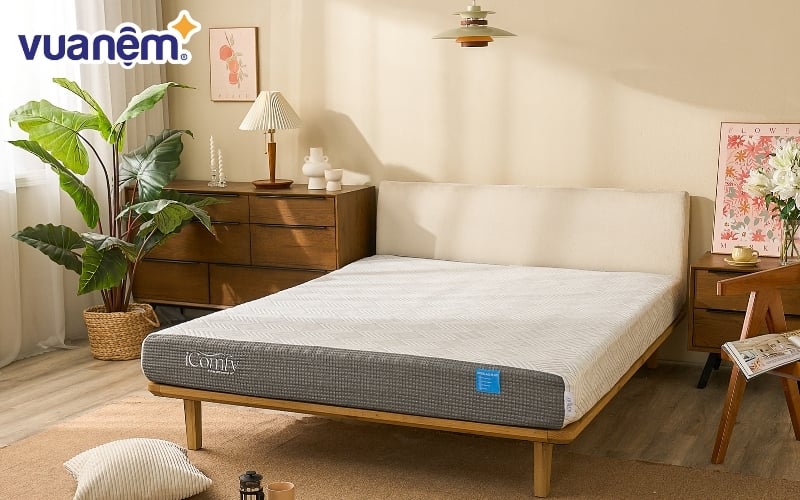 Nệm foam iComfy Coolax Plus