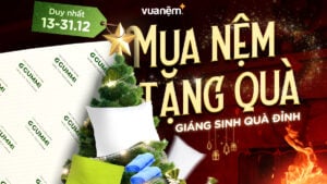 Mua nệm tặng quà: Giáng Sinh quà đỉnh – Ưu đãi linh đình