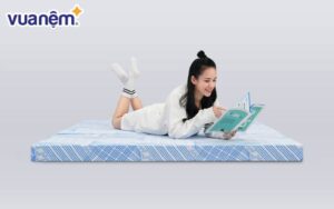 Top 5 mẫu nệm mỏng trải sàn bán chạy, kèm bảng giá 2025