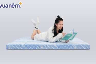 Nệm mỏng giá tốt Kim Cương Titanium