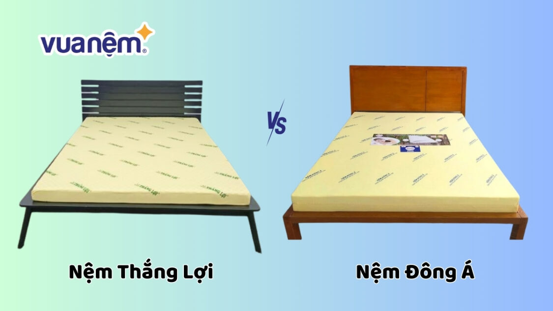 So sánh nệm Thắng Lợi và Đông Á: Nên mua loại nào?