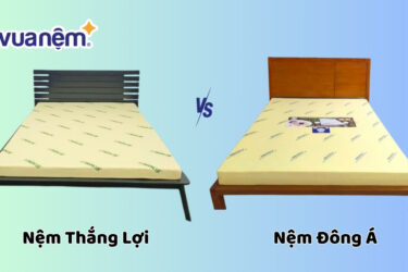 So sánh nệm Thắng Lợi và Đông Á: Nên mua loại nào?