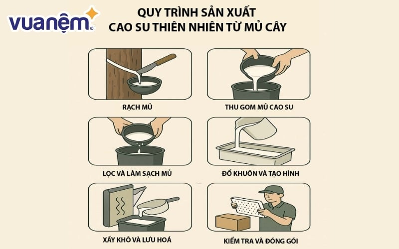 Các giai đoạn sản xuất cao su thiên nhiên