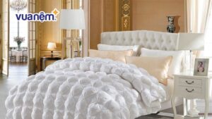 Top 10 mẫu chăn lông ngỗng ấm áp nên mua trong mùa đông