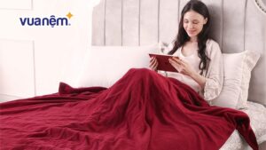 Top 10+ mẫu chăn lông tuyết nhung ấm áp và chất lượng